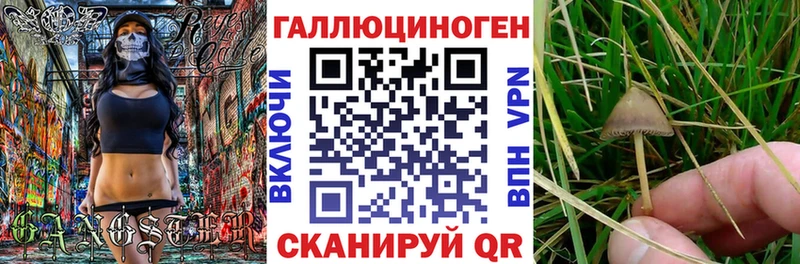Псилоцибиновые грибы Magic Shrooms  купить   гидра ссылка  Голицыно 